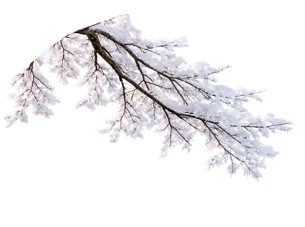 Ветка на карточке мероприятия